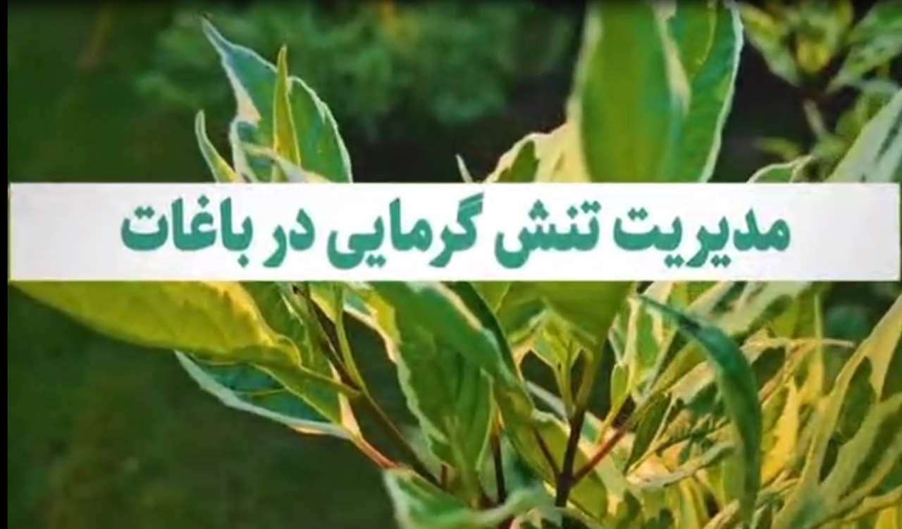 مدیریت تنش گرمایی در باغات 